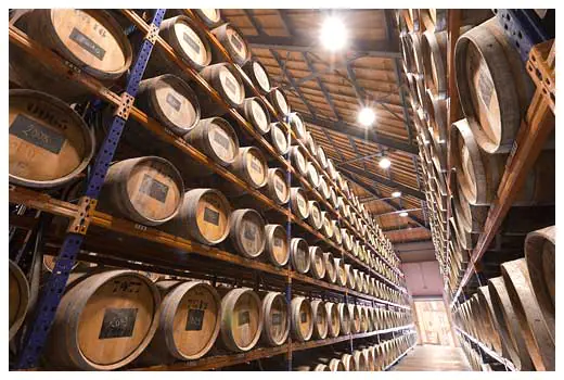 Visite-dégustation de la Fruitière Vinicole d'Arbois au Château Béthanie