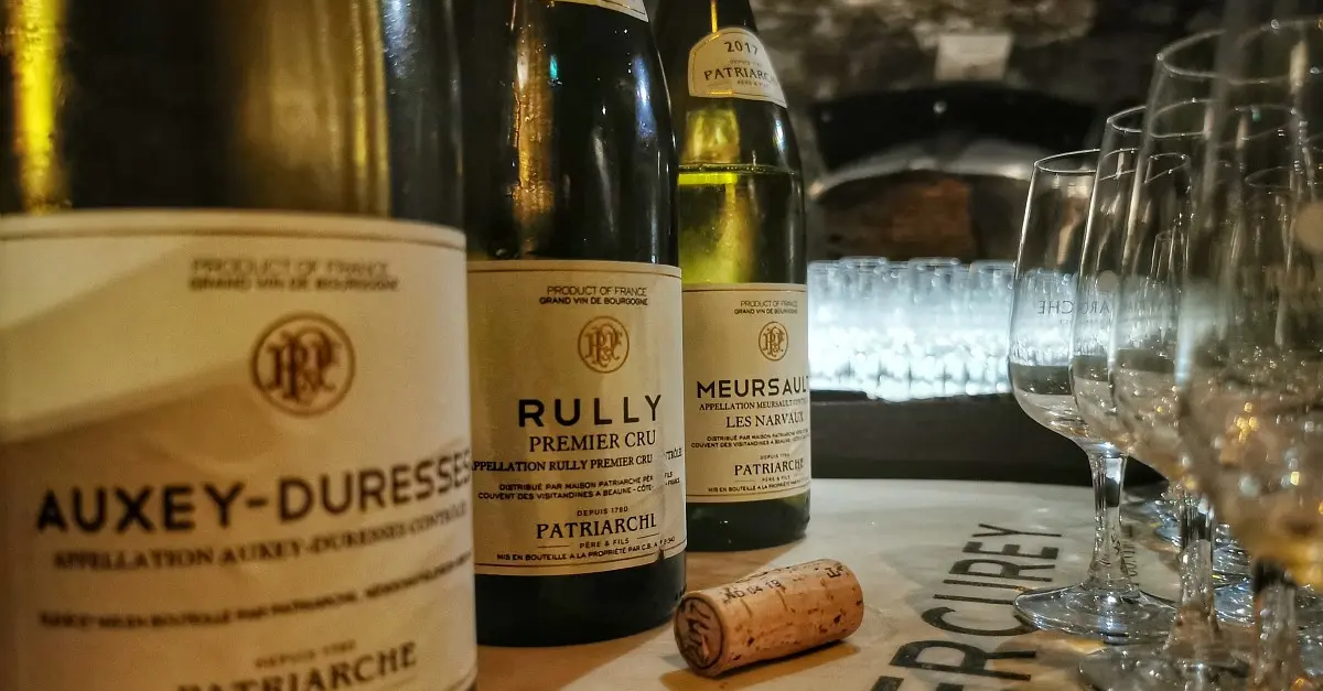 Visite des caves Patriarche et dégustation à Beaune