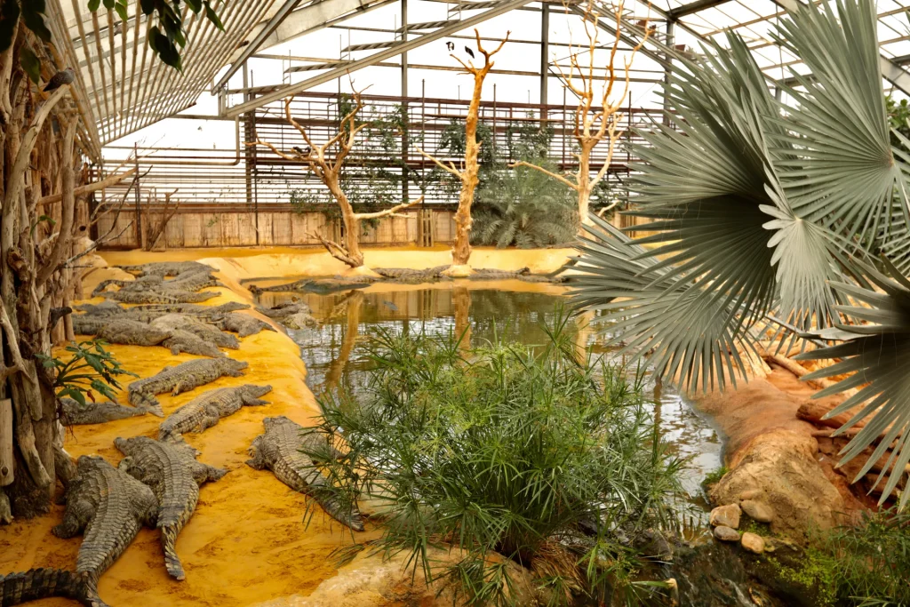 Découvrir la Ferme aux Crocodiles à Pierrelatte
