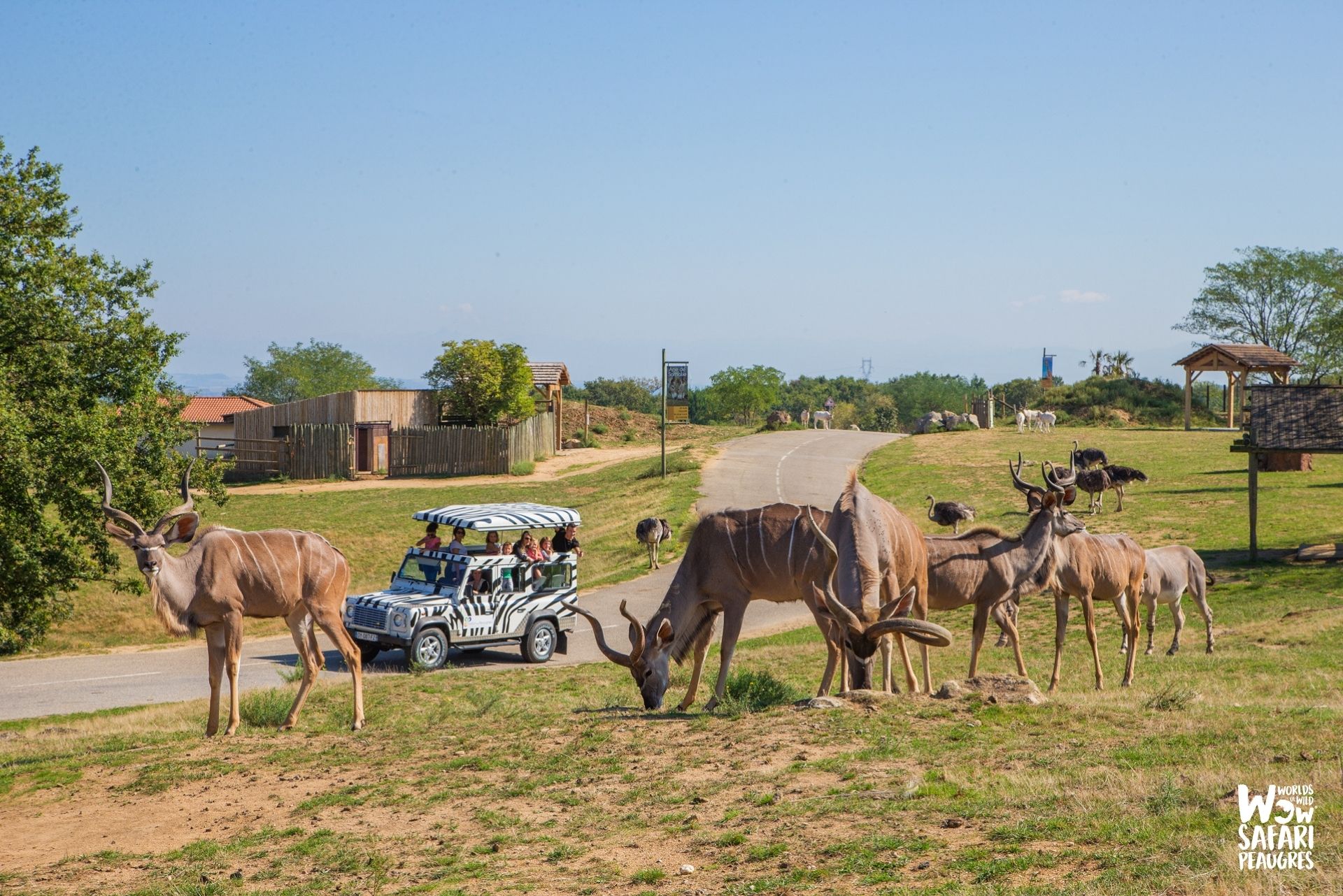 Safari voiture et visite à pied à Peaugres