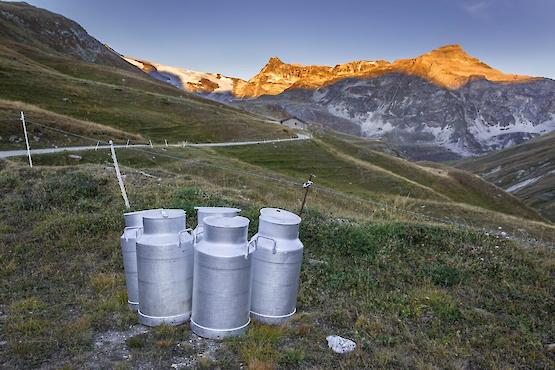 Découvrir la fabrication du Beaufort en Haute-Maurienne